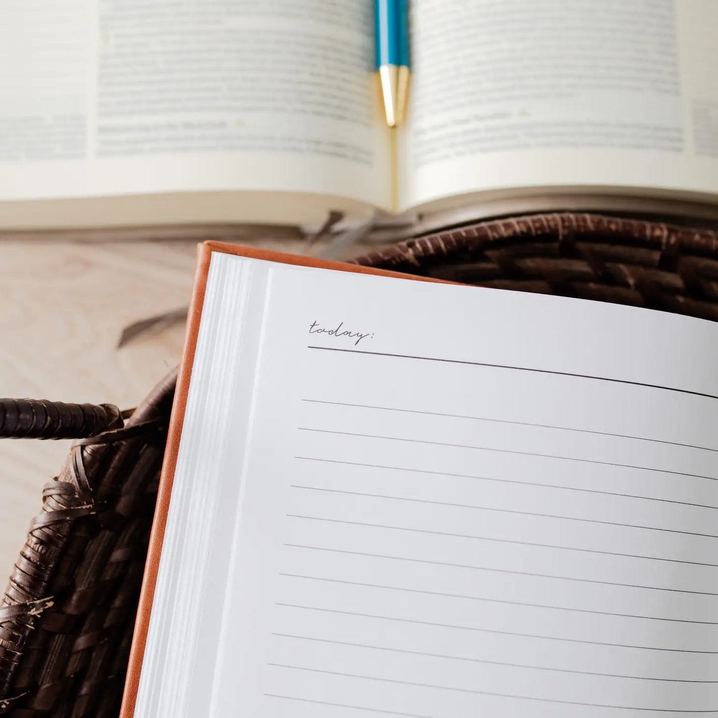 He Leads Me Journal