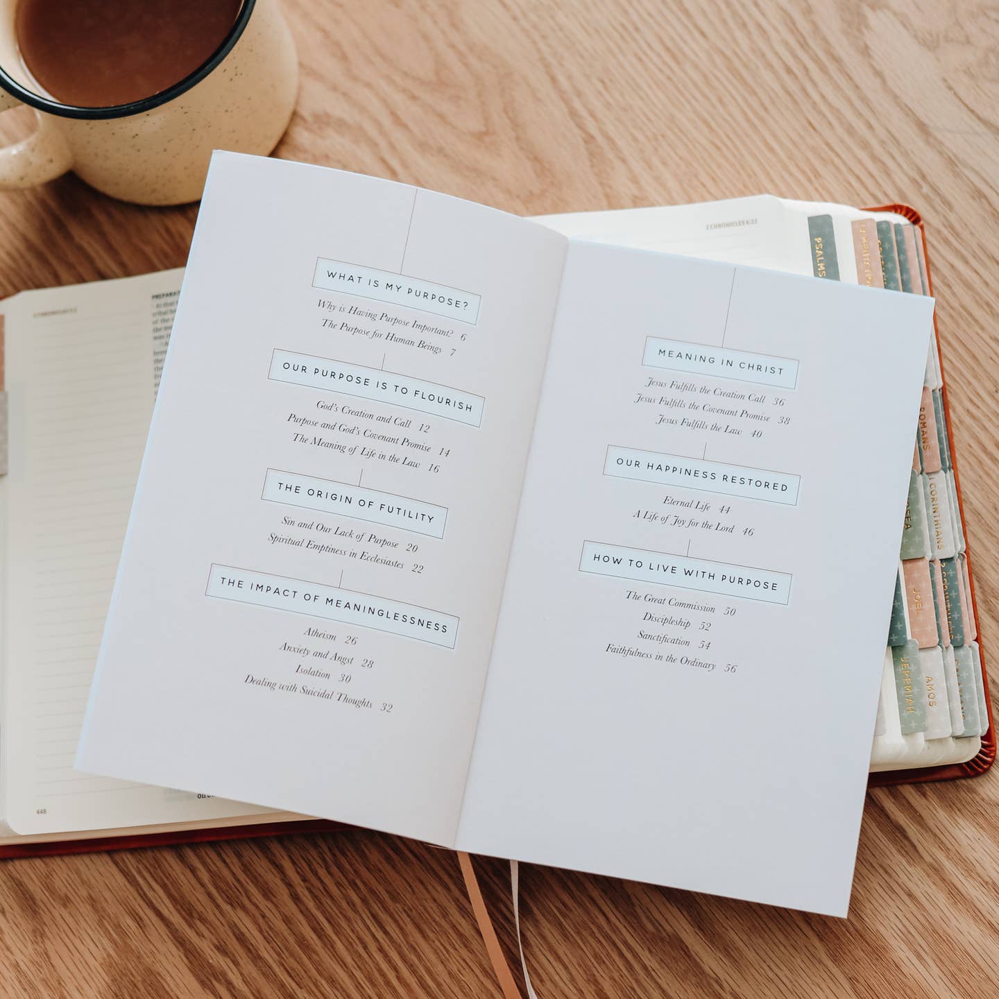 Faith Questions: Purpose