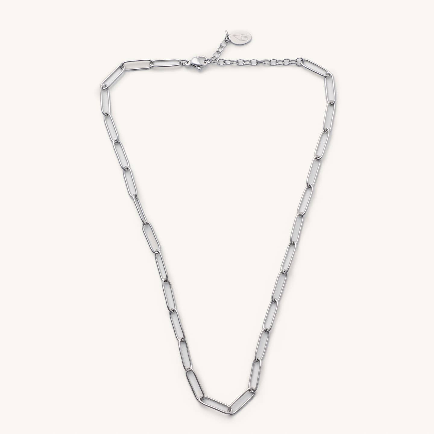 Sasha's Silver Chain