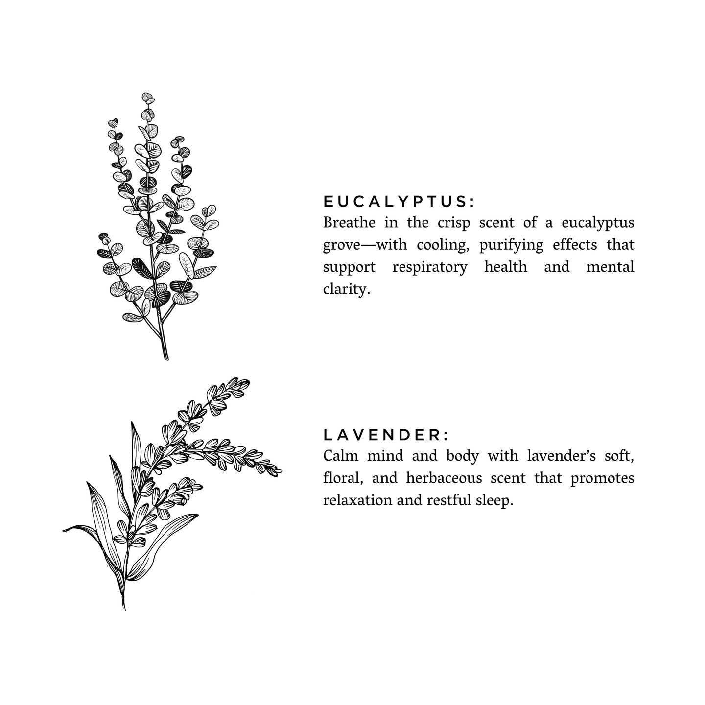 Laundry Powder ~ Eucalyptus & Lavender