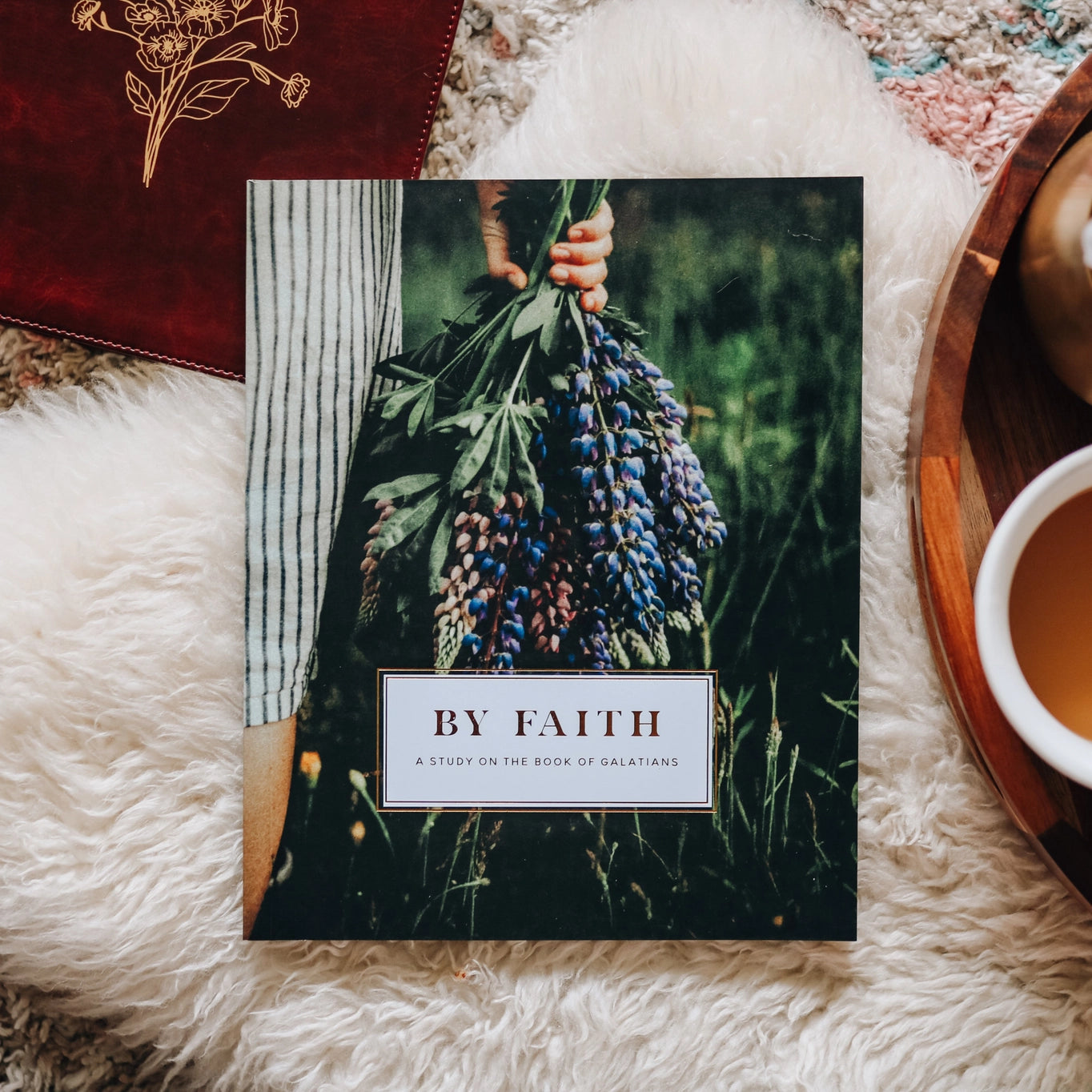 By Faith ~ Galatians Study