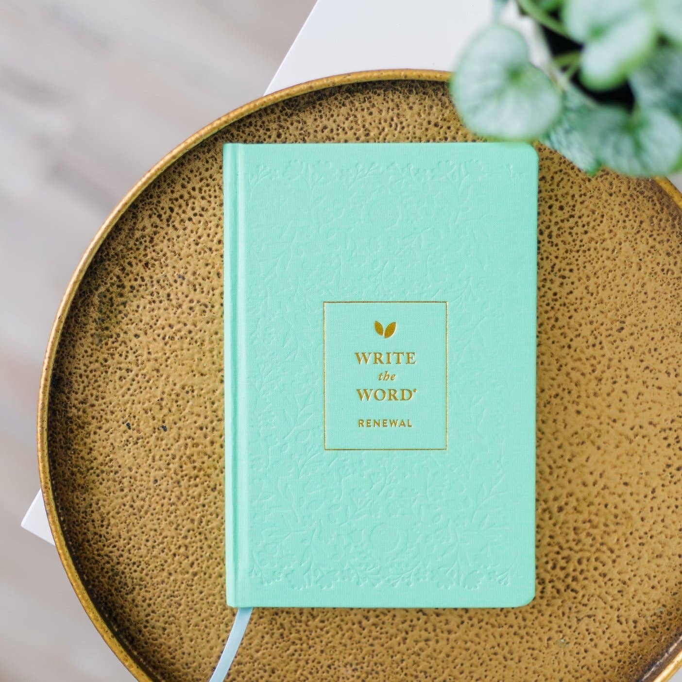 Write The Word Journal | Renewal