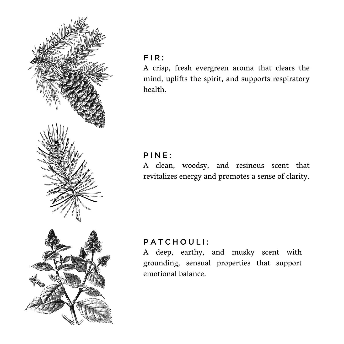 Laundry Powder ~ Forest Bathing