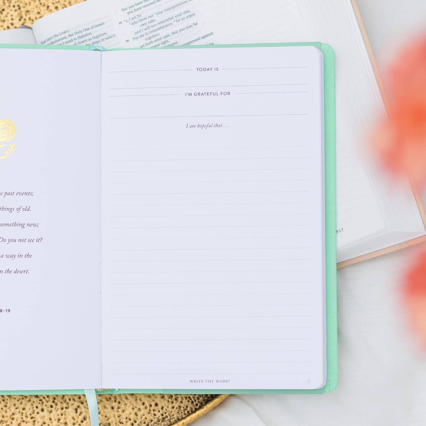 Write The Word Journal | Renewal