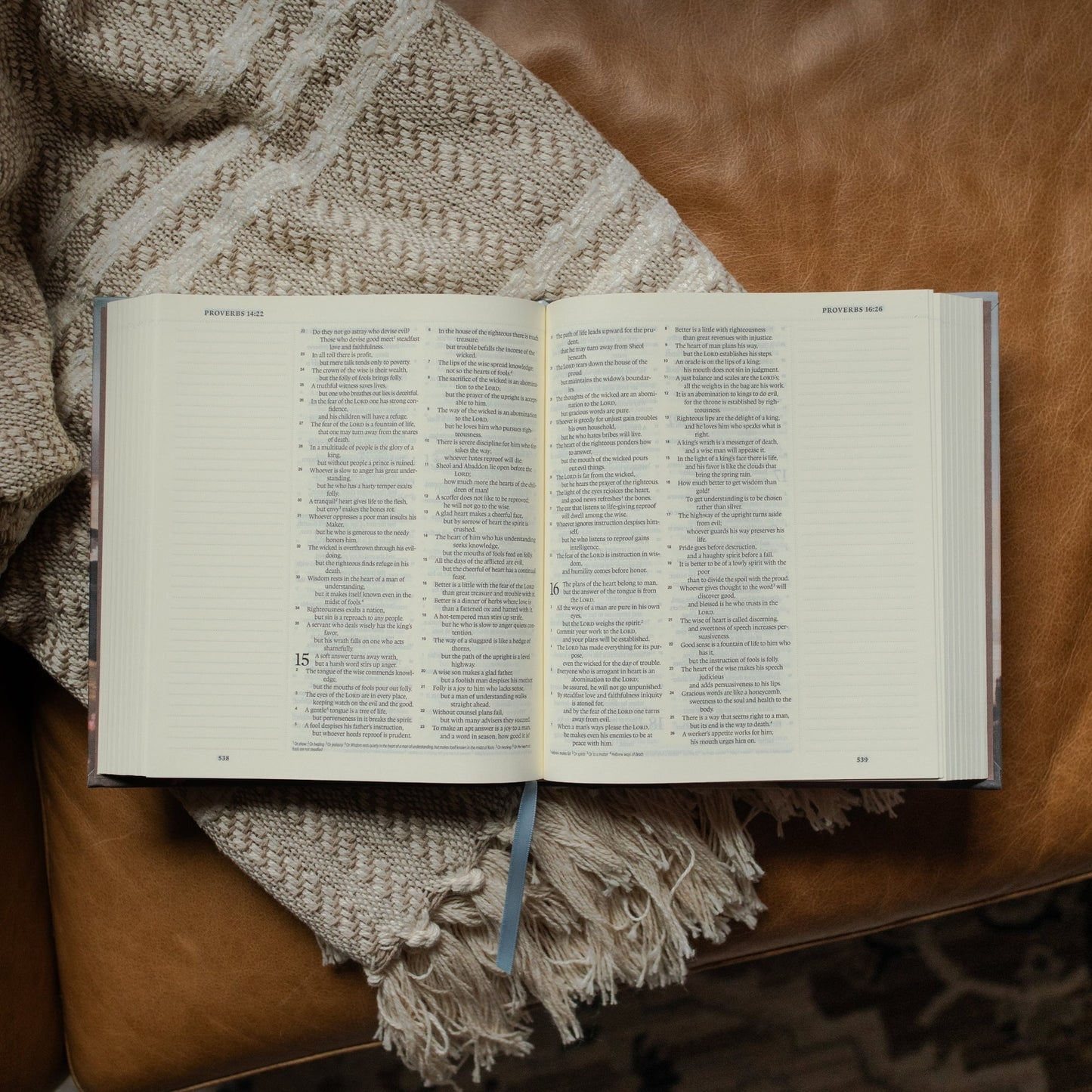 ESV Journaling Bible Mountains