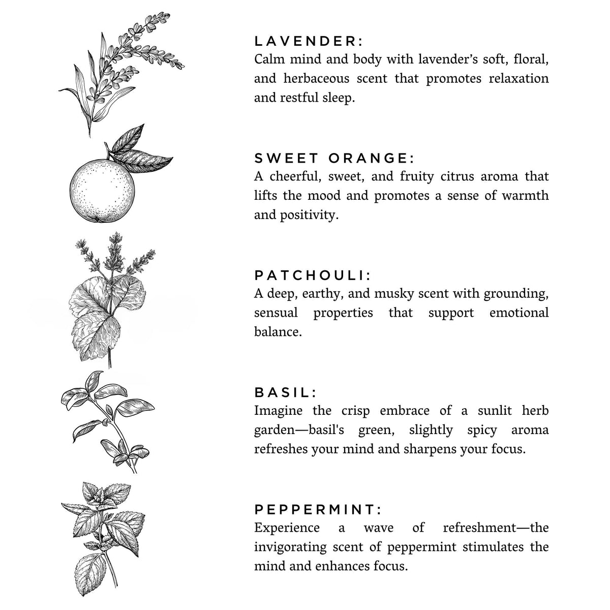Bath Salts ~ Revive