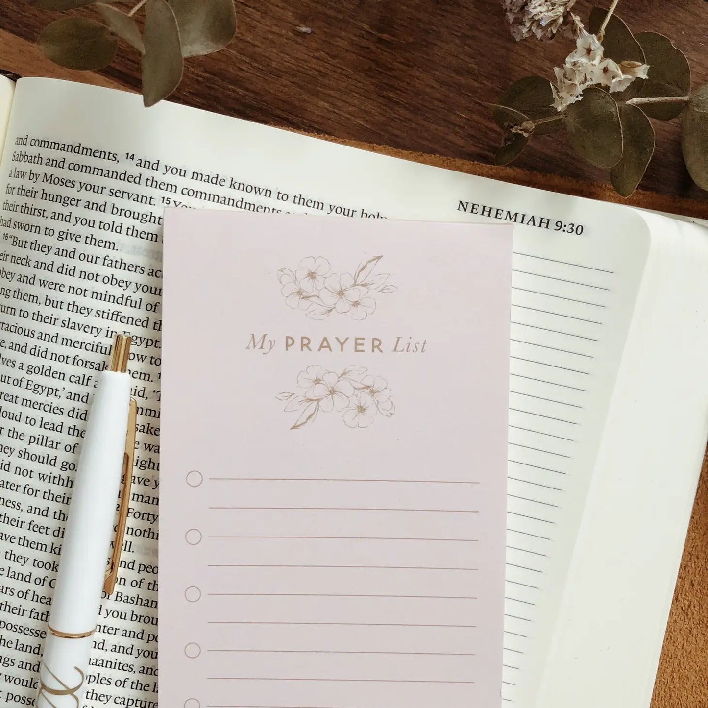 Daily Prayer List