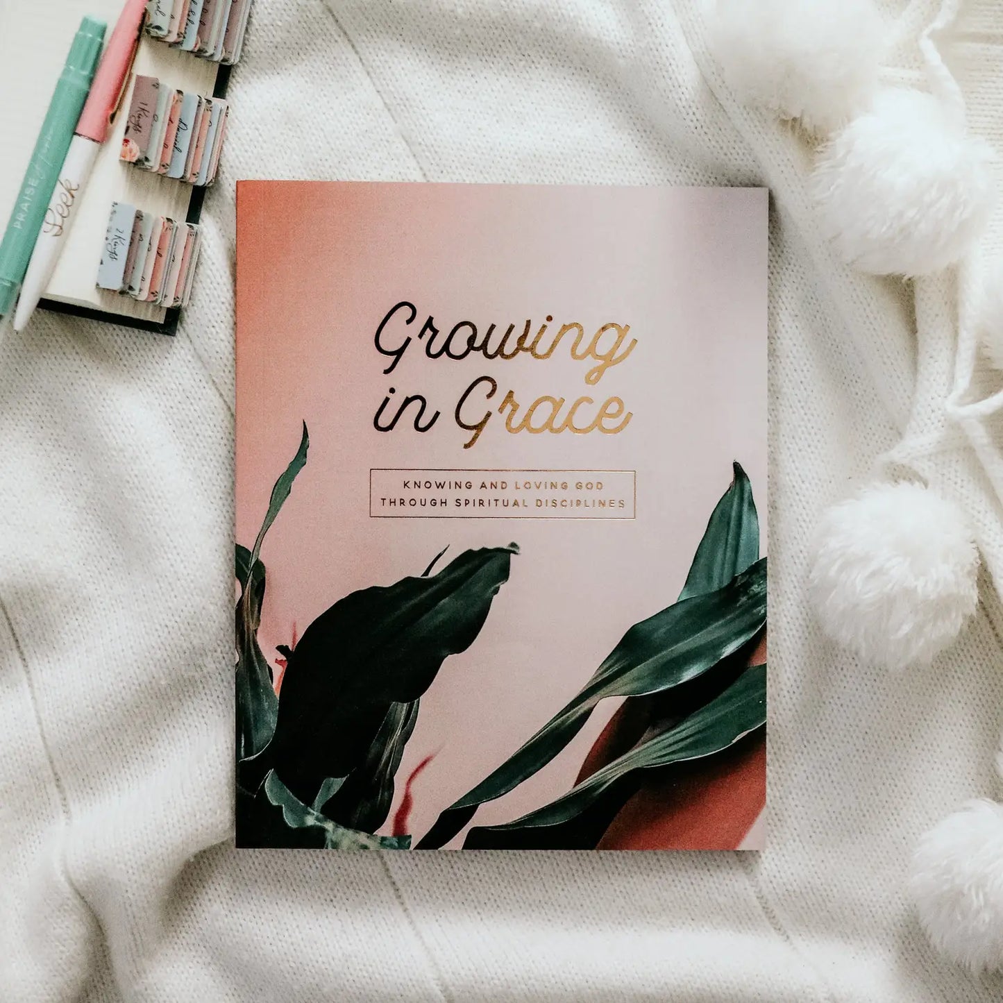 Growing in Grace ~ Spiritual Disciplines
