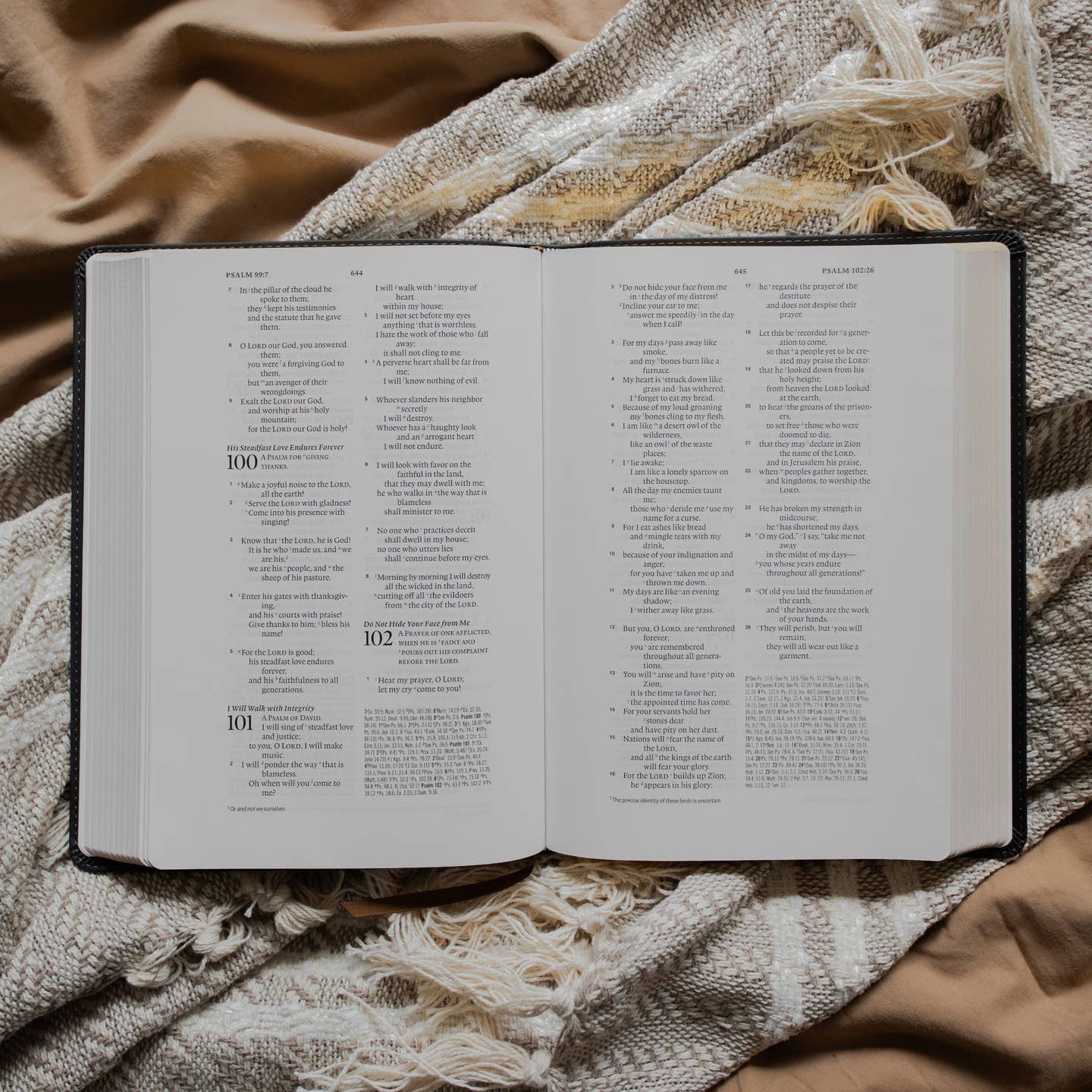 Esv Reference Bible