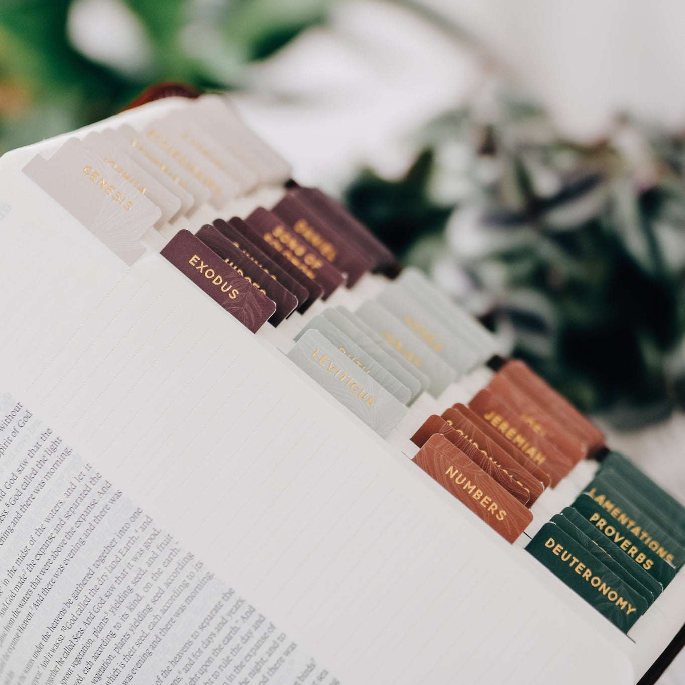 Jewel Toned Bible Tabs
