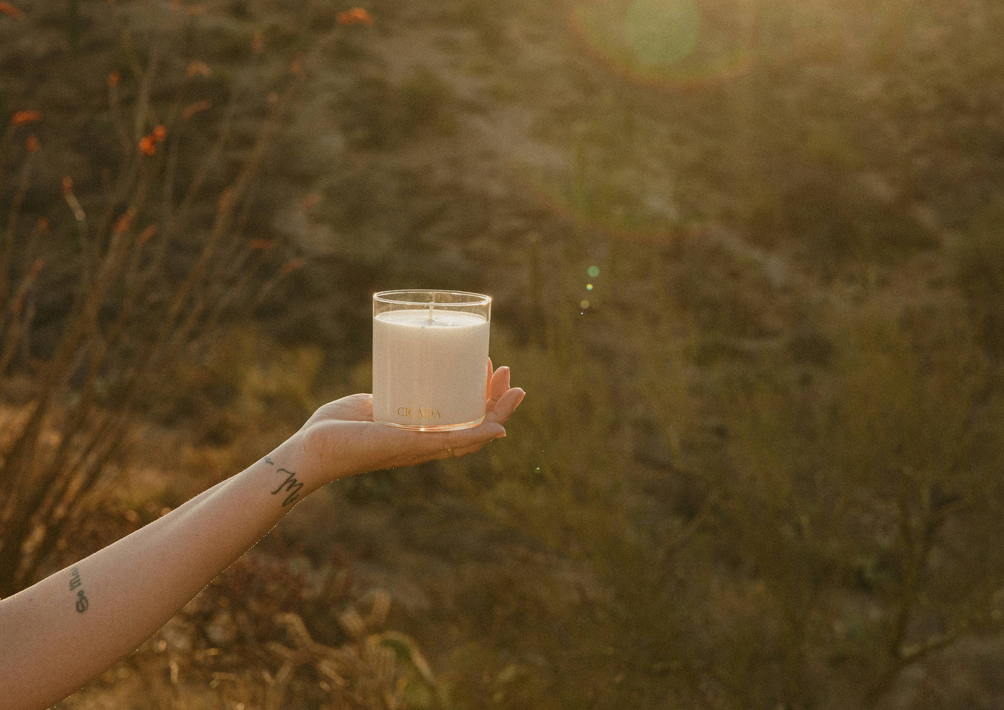 Coastal Grass Candle