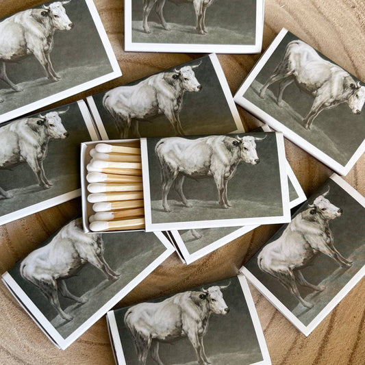 The Bull Matches