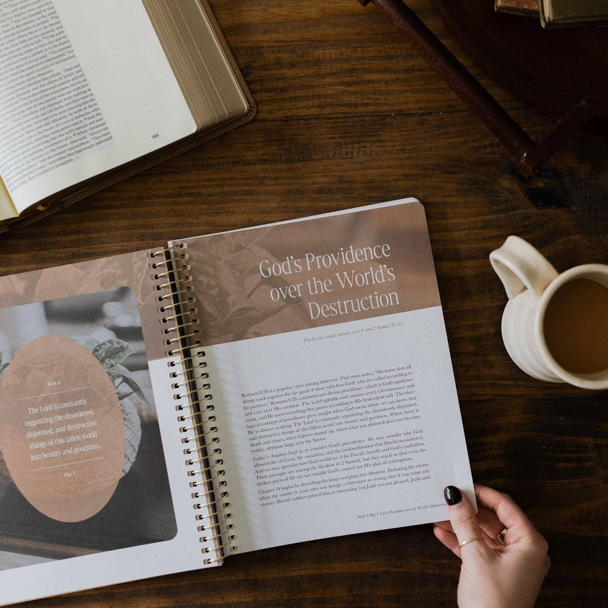 Peaks and Valleys Spiral Bible Study