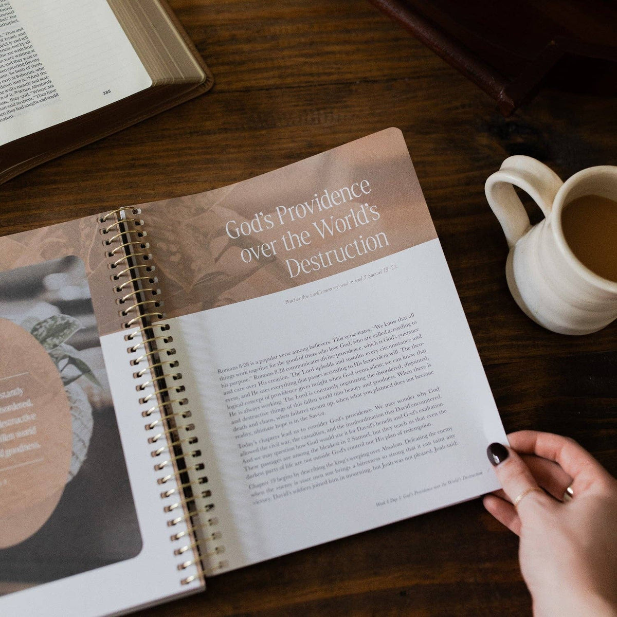 Peaks and Valleys Spiral Bible Study