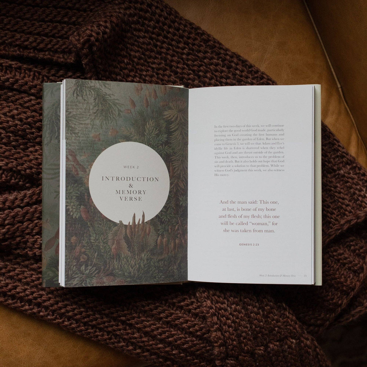 Genesis Hardcover Bible Study