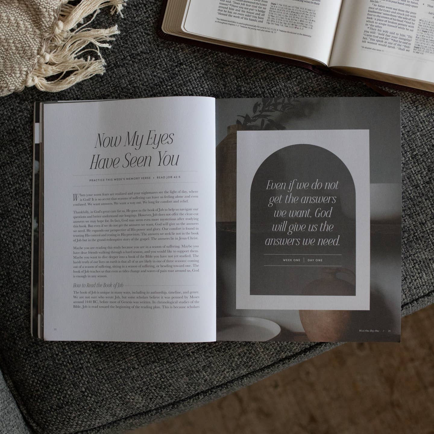 Job | Holding To Hope When Life Falls Apart