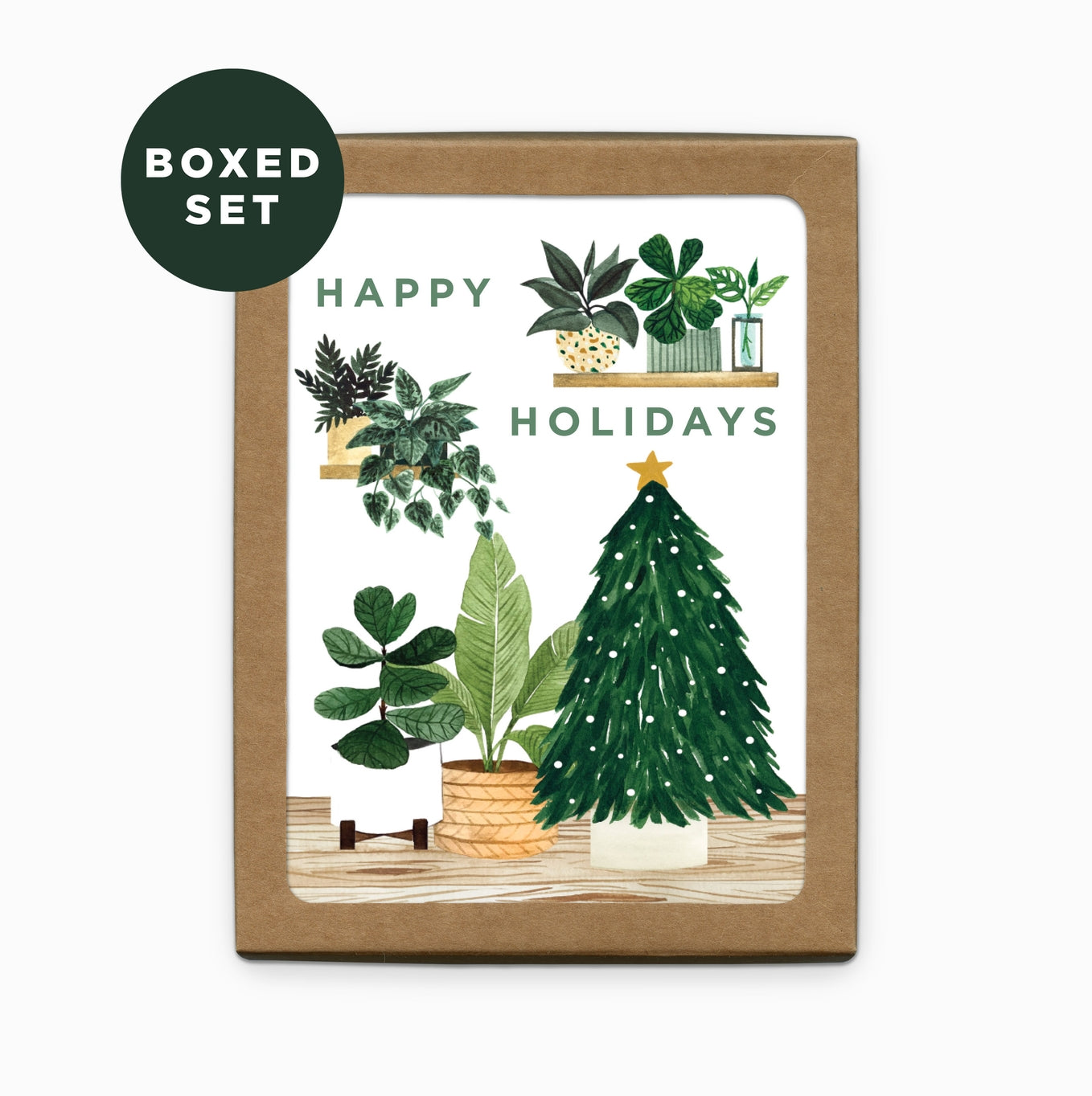 Holiday Plant  Boxed Set