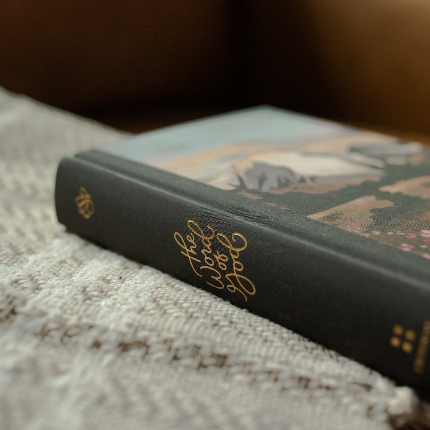 ESV Journaling Bible Mountains