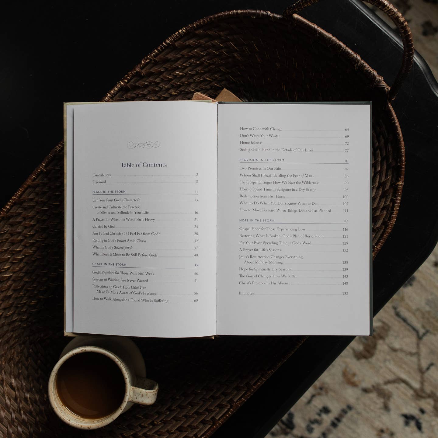 When Storms Rage | Collection of Essays