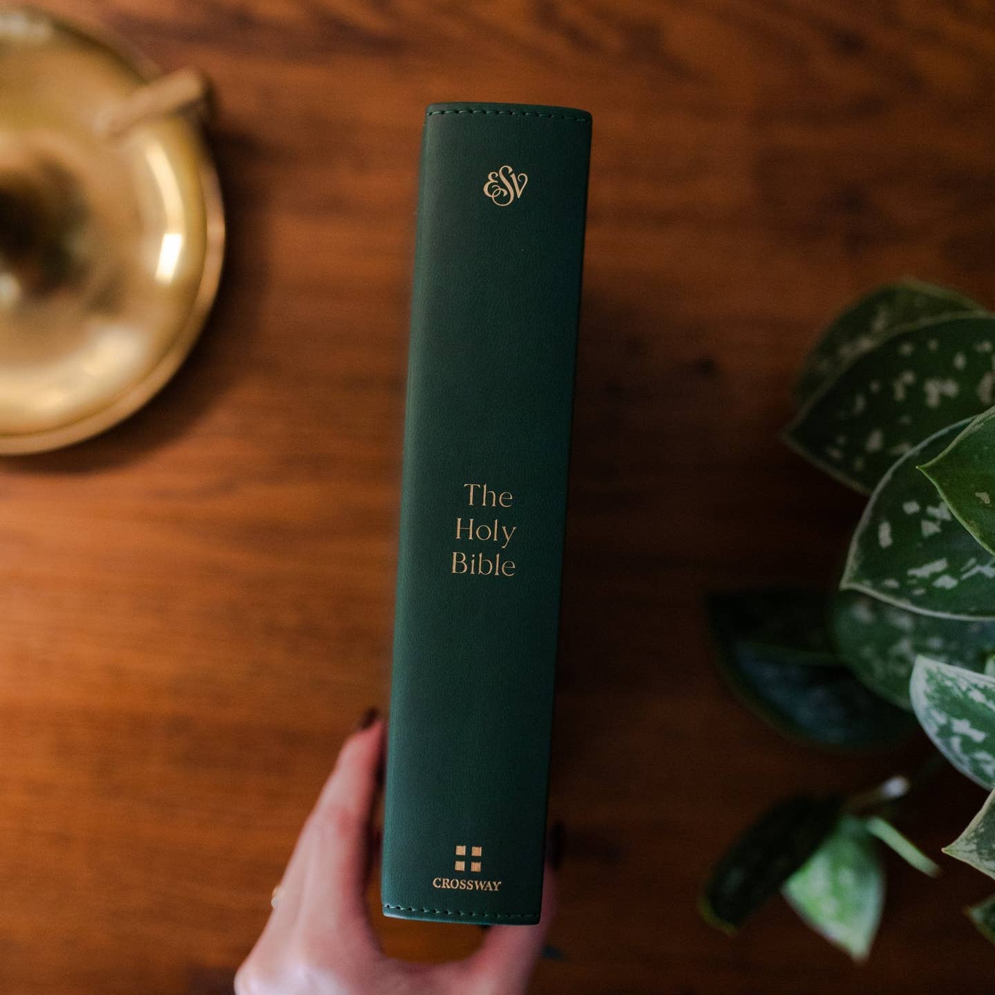 Esv Single Column Journal Bible