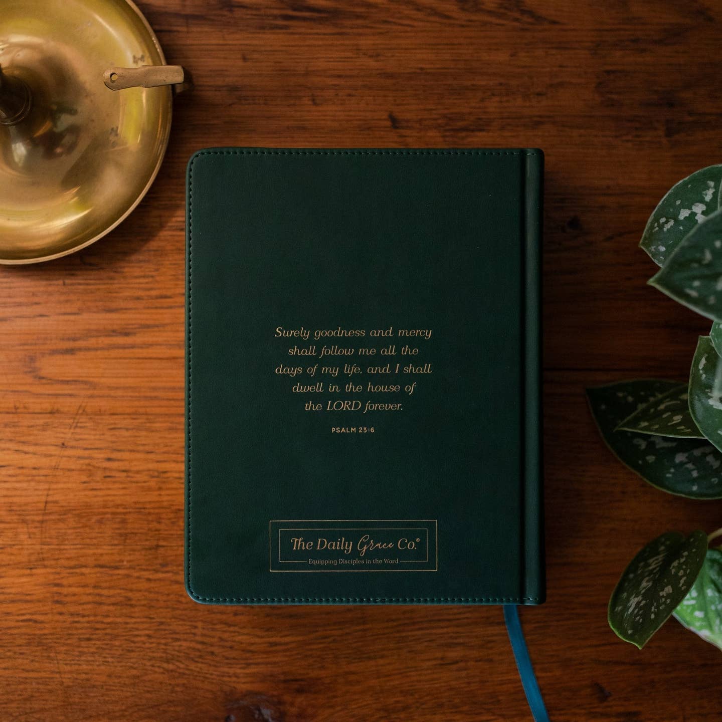 Esv Single Column Journal Bible