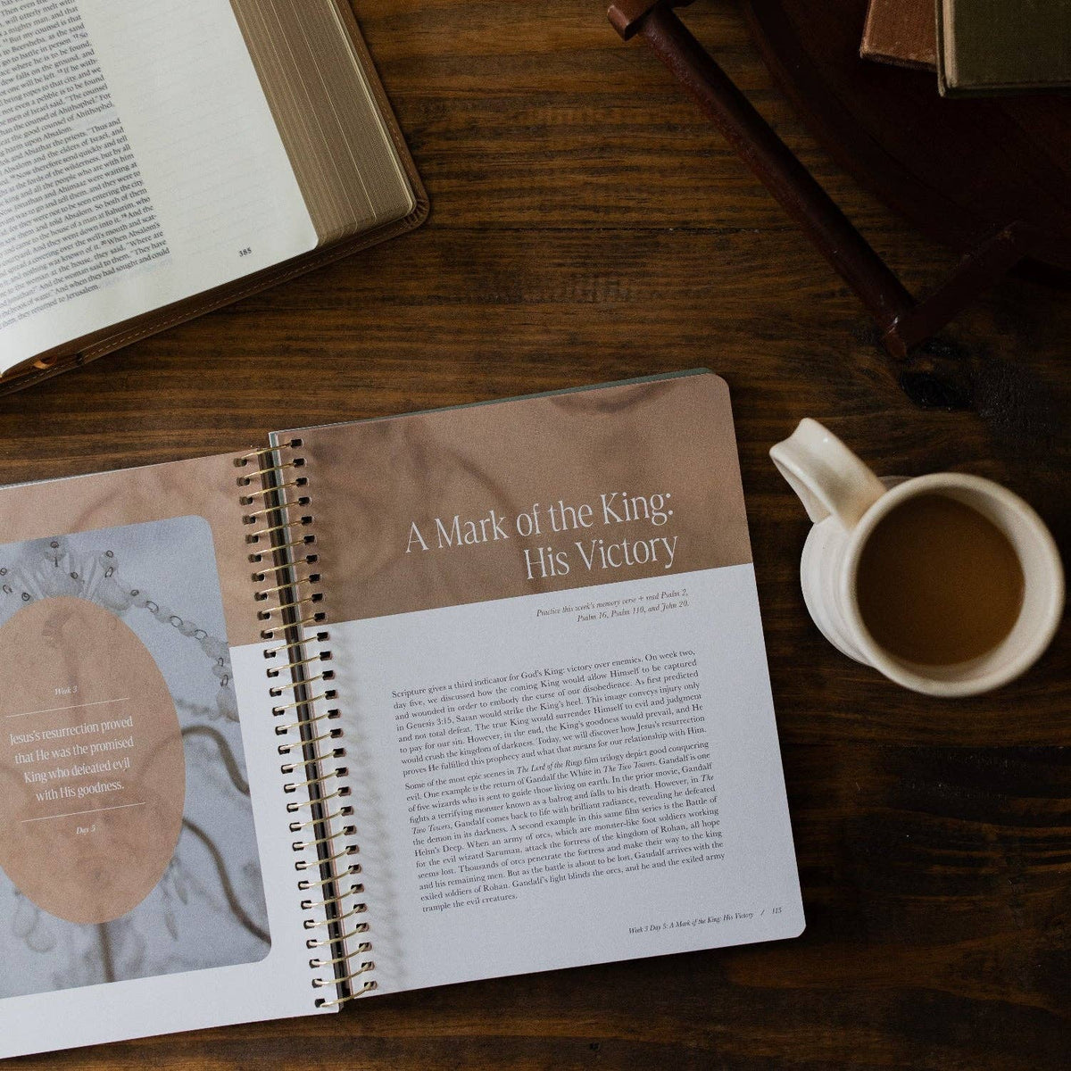 Peaks and Valleys Spiral Bible Study