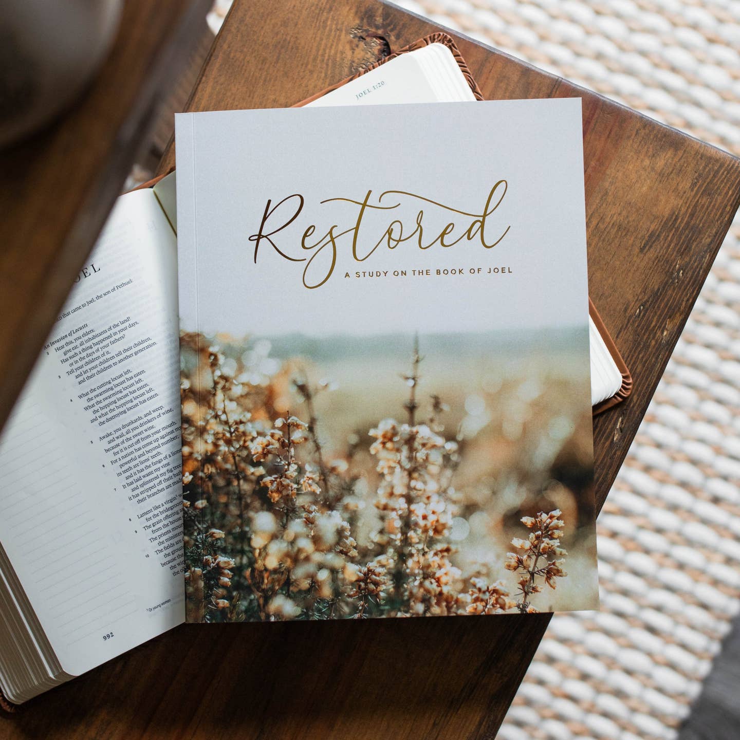 Restore - A Study on the Book of Joel