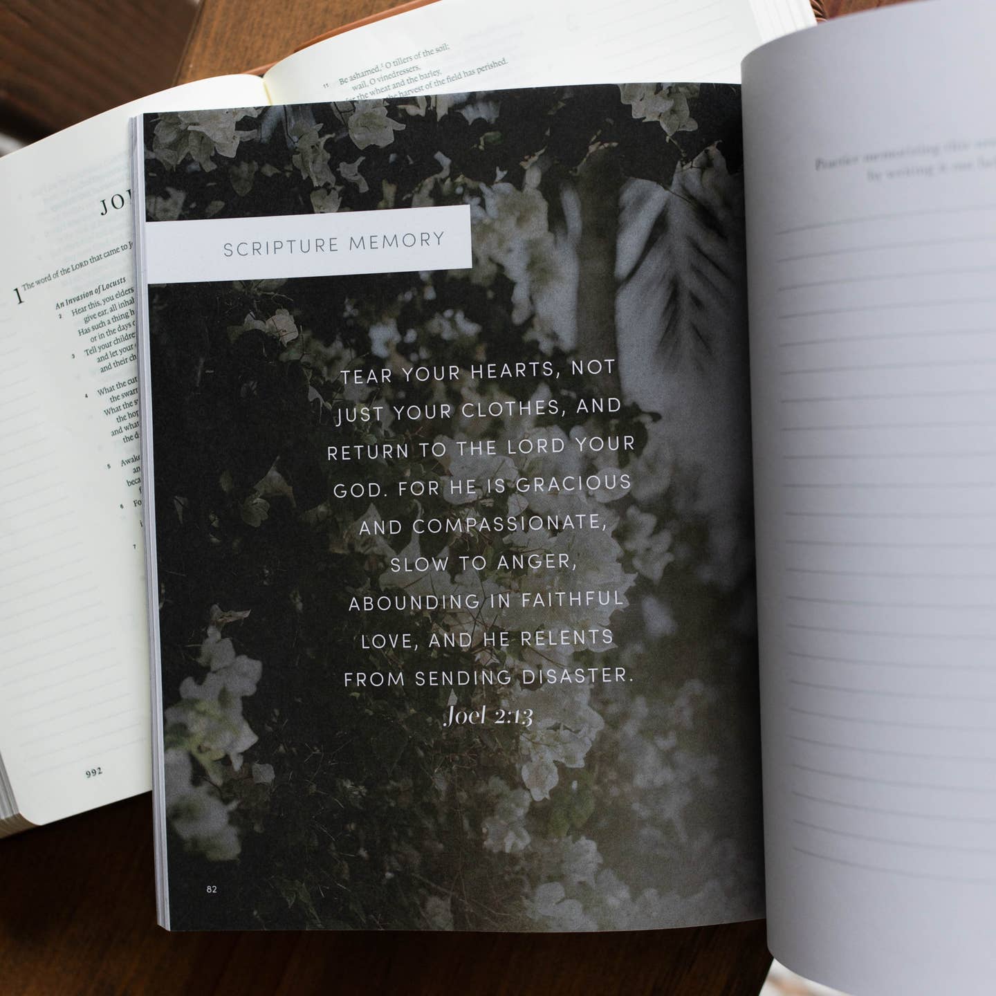 Restore - A Study on the Book of Joel
