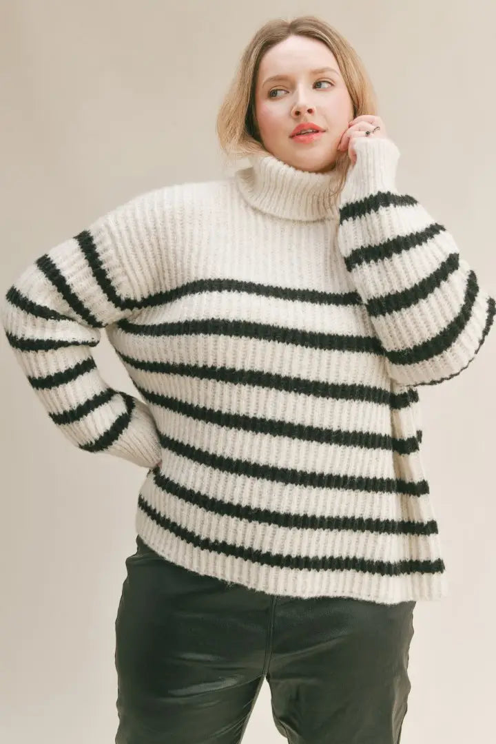 Turtleneck Sweater ~ Plus